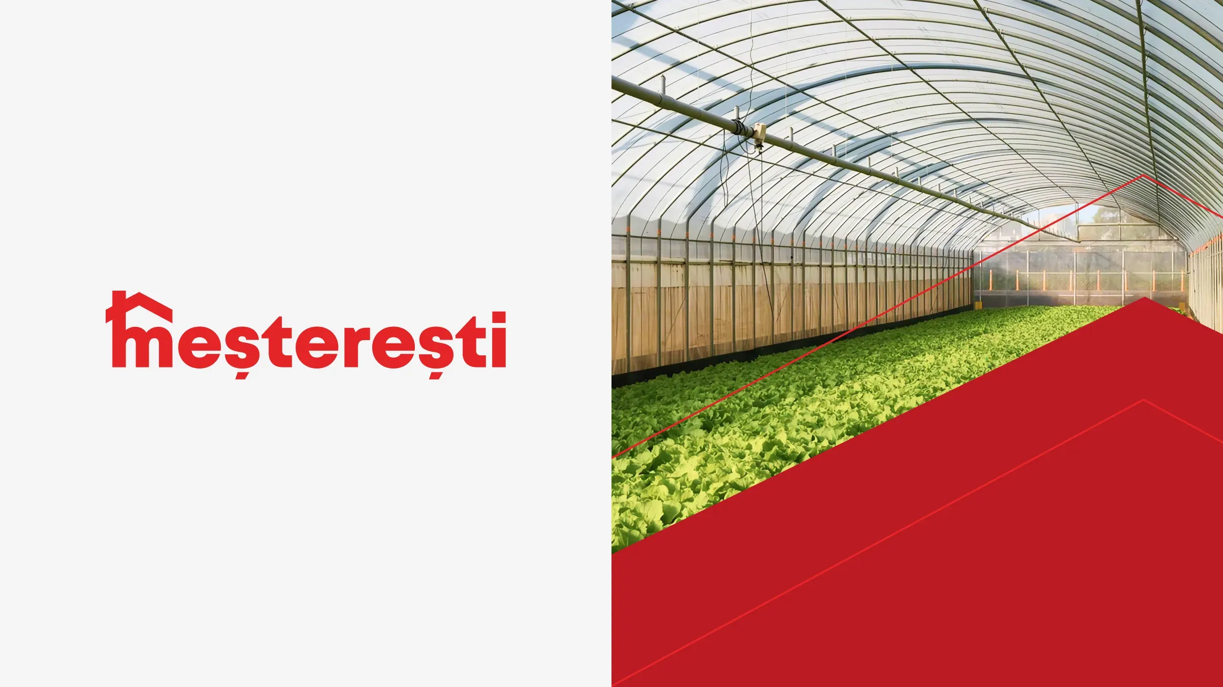 Meșterești case study
