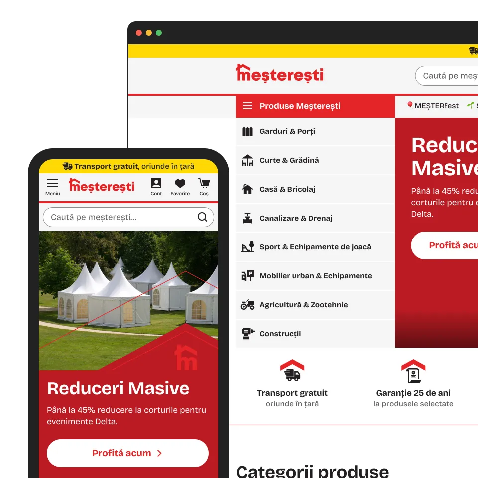 Meșterești case study