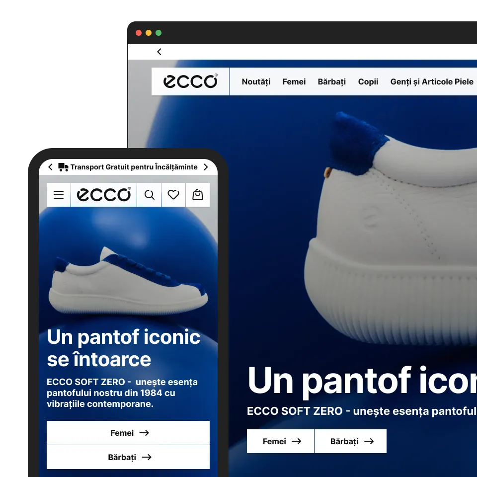 ECCO case study